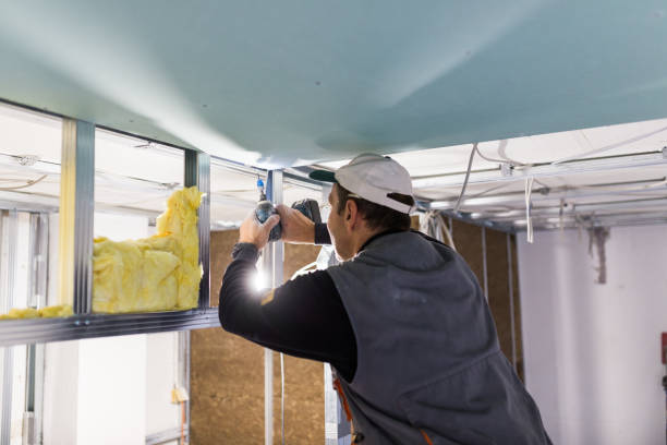 Best Cellulose Insulation in Mans, CO