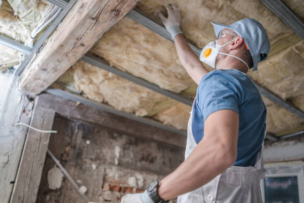 Professional Insulation Contractor in Mancos, CO