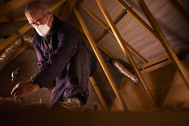 Best Eco-Friendly Insulation in Mans, CO